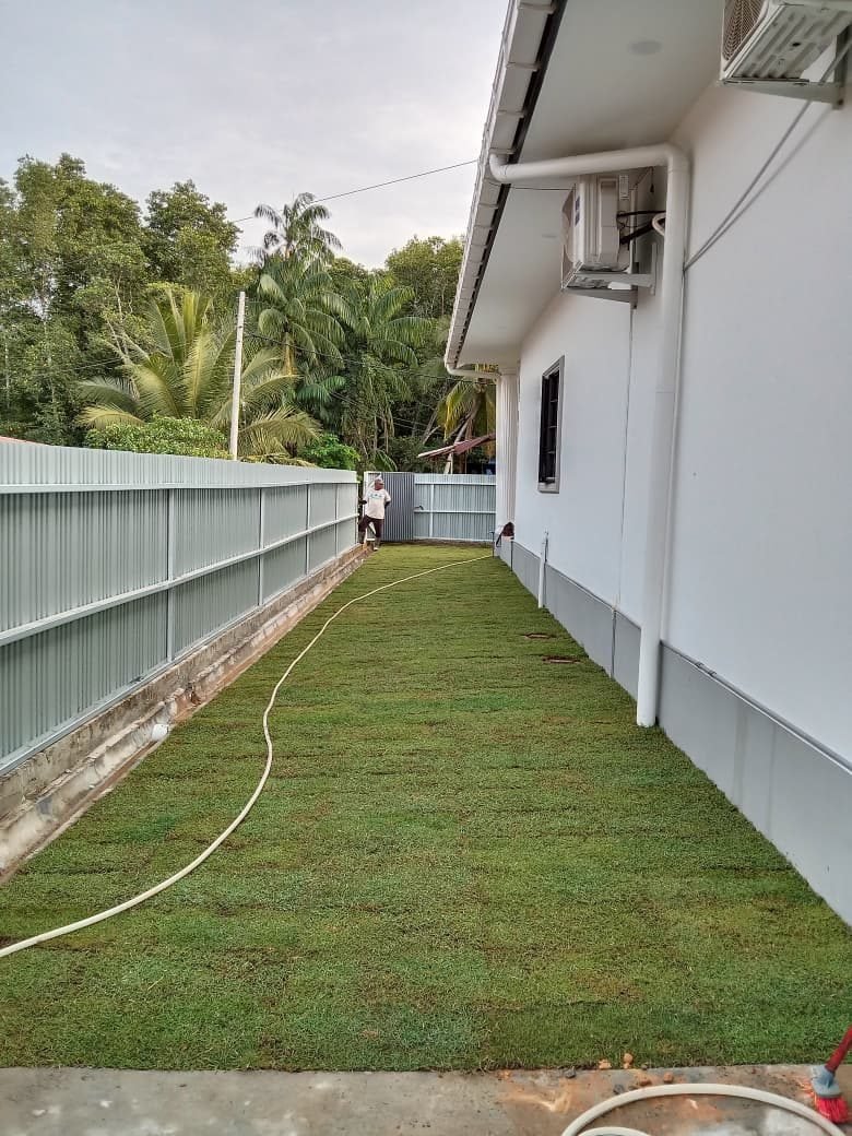 Grass installation in progress alongside a house